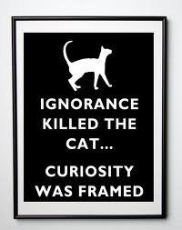 curiosity killed the cat