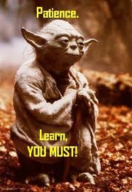 yoda patience