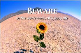 baroness of a busy life